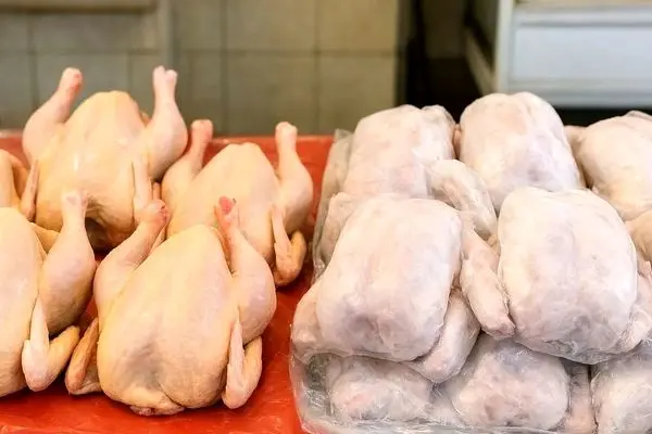 مرغ بخریم یا نخریم؟ بحران بازار مرغ به اوج رسید!