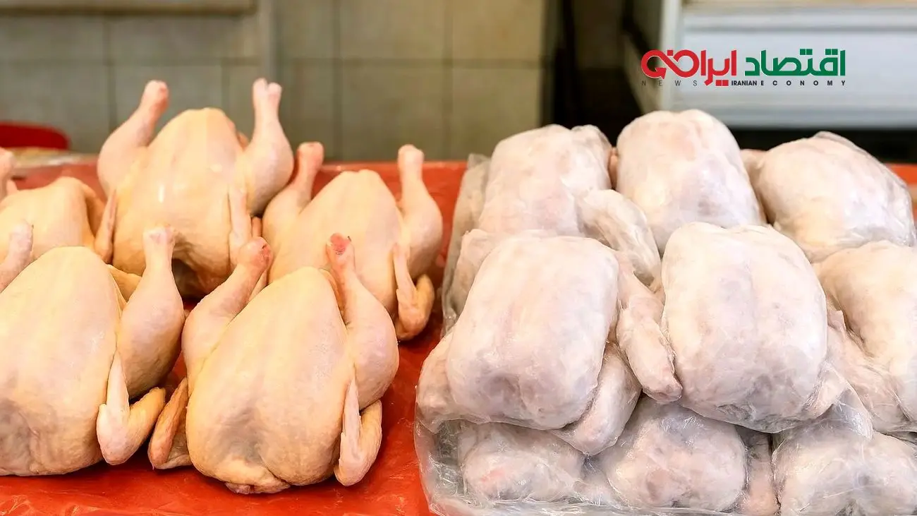 مرغ بخریم یا نخریم؟ بحران بازار مرغ به اوج رسید!