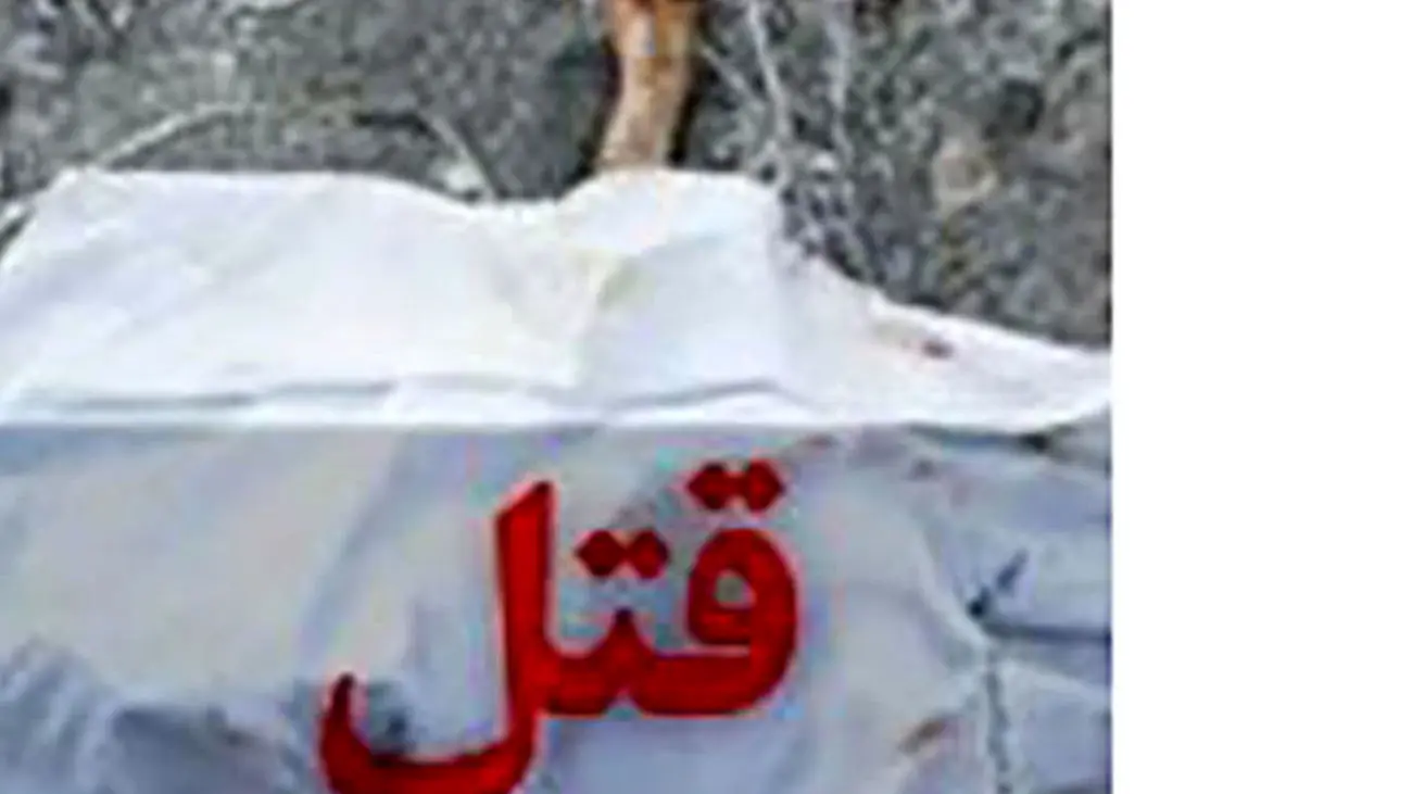 قتل فجیع یک دکتر با ضربات تبر شهرک هما تهران / قاتلان نقابدار فرار کردند
