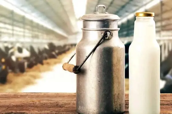 افزایش وحشتناک قیمت لبنیات؛ شیر خام در تور گرانی!