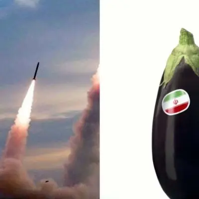  بادمجان ایران هم  تحریم شد! + غربی ها چرا می ترسند؟