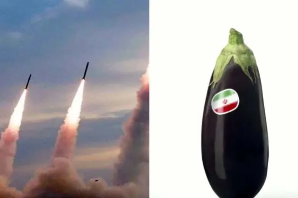  بادمجان ایران هم  تحریم شد! + غربی ها چرا می ترسند؟