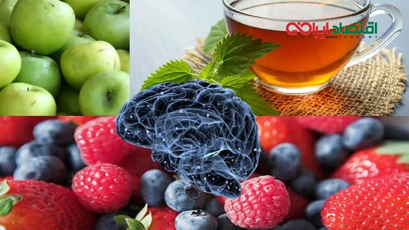 جلوگیری از کاهش حافظه در پیری با مصرف سیب، توت و چای