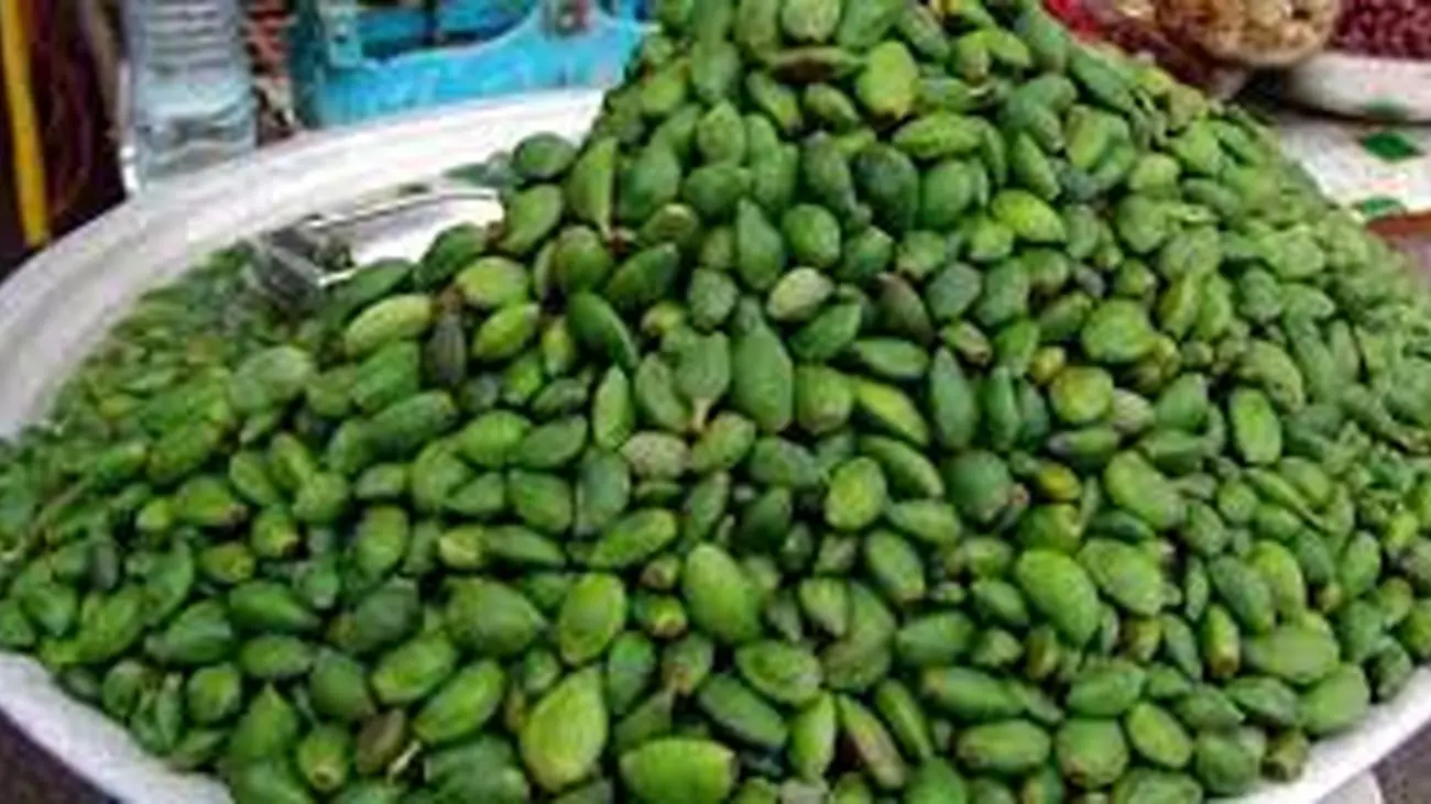 قیمت کف بازار چغاله / گوجه سبز تا 10 روز دیگر/ هنداونه نجومی می شود