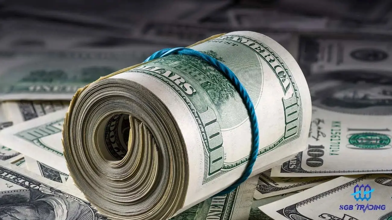 تأثیر سیاستهای آمریکا بر بازار ارز ایران/ دلار گران میشود؟