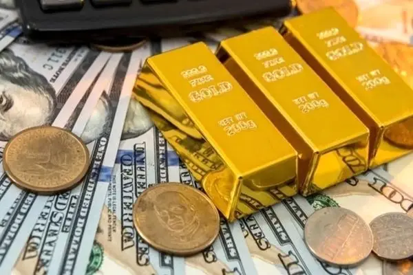 اگر قصد خرید سکه دارید، این ۳ هشدار را جدی بگیرید!