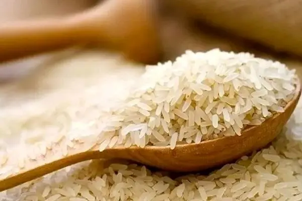 کمیاب شدن برنج پاکستانی؛ شوک جدید به سفره‌های ایرانی