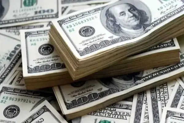 عضو کمیسیون برنامه و بودجه: وضعیت بازار ارز فضای روانی جامعه را برهم می‌زند