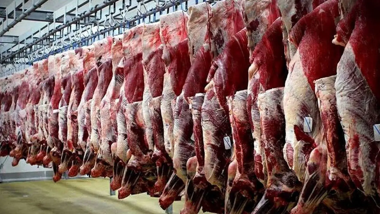 ریزش قیمت گوشت در راه است