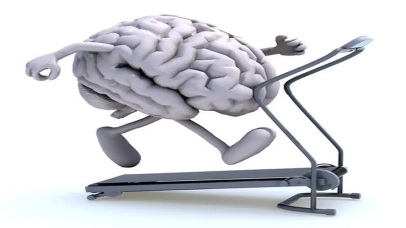 کمتحرکی عملکرد مغز را مختل میکند