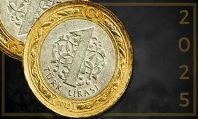 قیمت لیر ترکیه امروز شنبه 24 آبان 1404