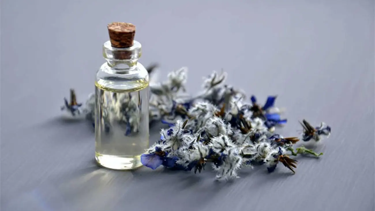 راهنمای خرید عطر مردانه برای فصل تابستان