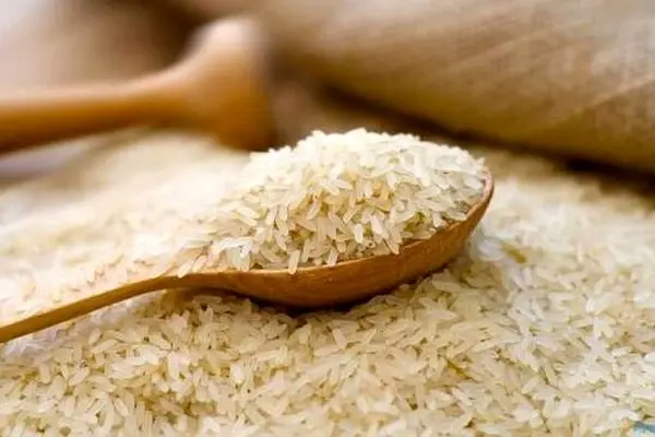 چرا واردات برنج ۴ ماه ممنوع شد؟