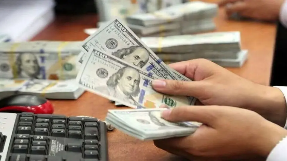 نرخ ارز نباید سالانه بیش از 5 درصد تغییر کند !