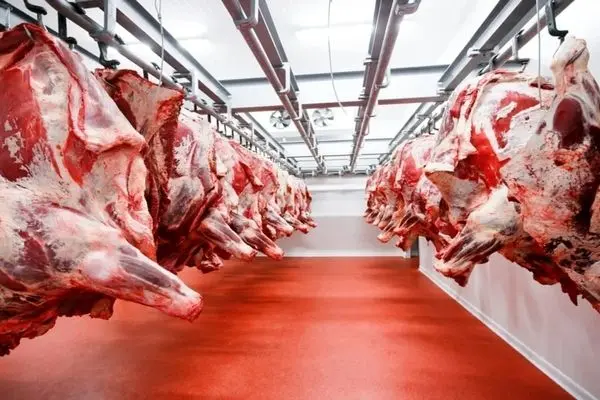 شوک به بازار! قیمت گوشت و مرغ رکورد زد | پشت پرده گرانی فاش شد