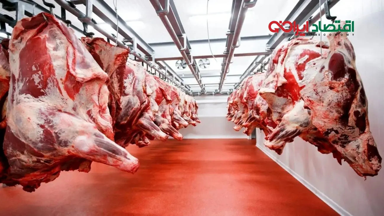 شوک به بازار! قیمت گوشت و مرغ رکورد زد | پشت پرده گرانی فاش شد