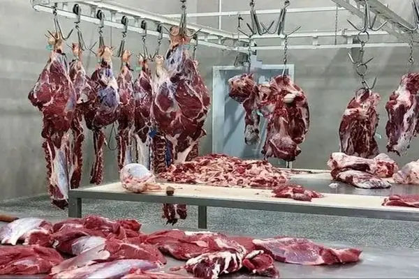 از وعده ارزانی تا نگرانی گرانی؛ سرنوشت قیمت گوشت تنظیم بازار