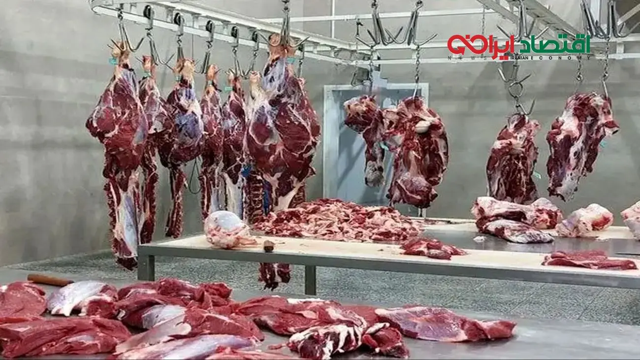 از وعده ارزانی تا نگرانی گرانی؛ سرنوشت قیمت گوشت تنظیم بازار