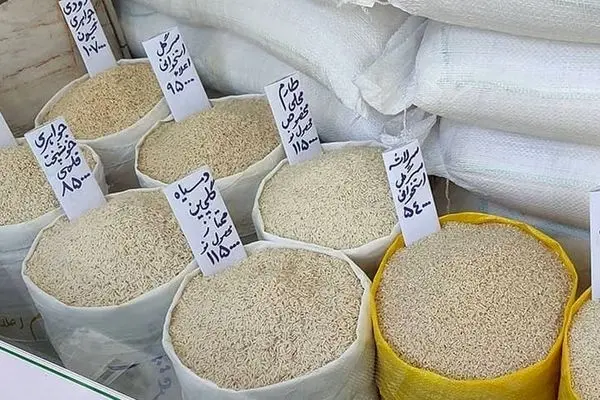 جنجال تأمین برنج در کشور؛ دعوای بزرگ بانک مرکزی و انجمن تأمین‌کنندگان!