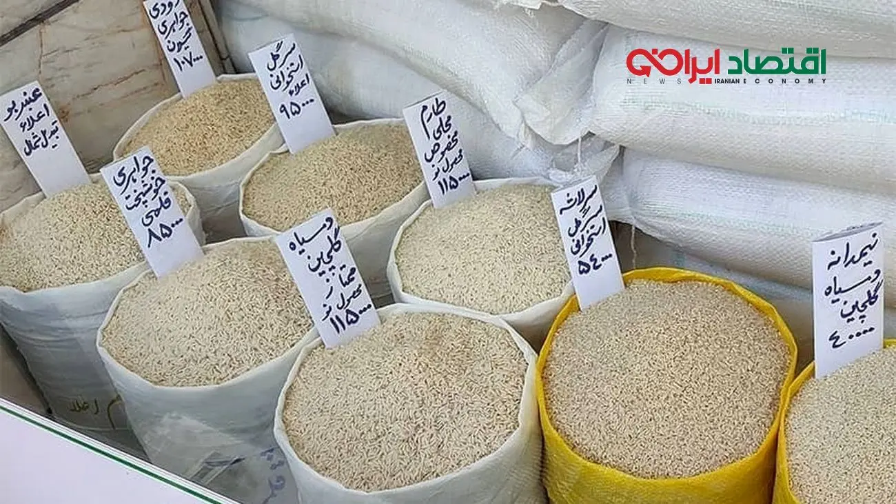 جنجال تأمین برنج در کشور؛ دعوای بزرگ بانک مرکزی و انجمن تأمین‌کنندگان!