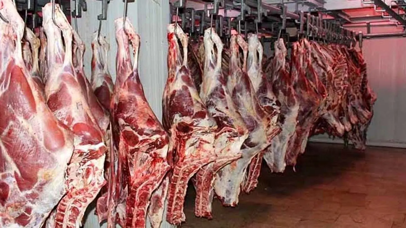 هر کیلوگرم گوسفند زنده در بازار چند؟