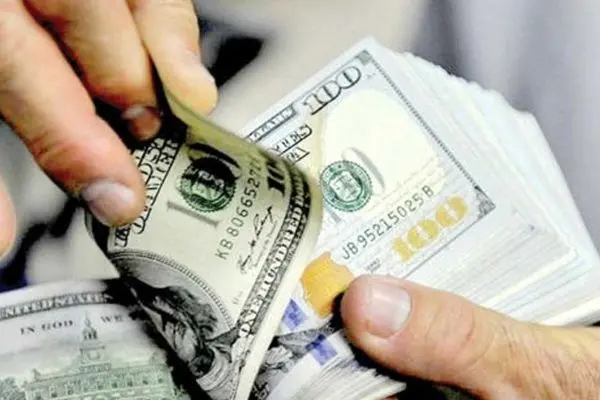 قیمت دلار امروز سه شنبه ۱۳ آذر ۱۴۰۳ / دلار افسار پاره کرد
