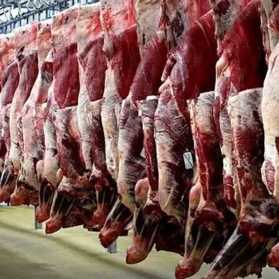 اعلام جدیدترین قیمت واقعی گوشت در بازار 