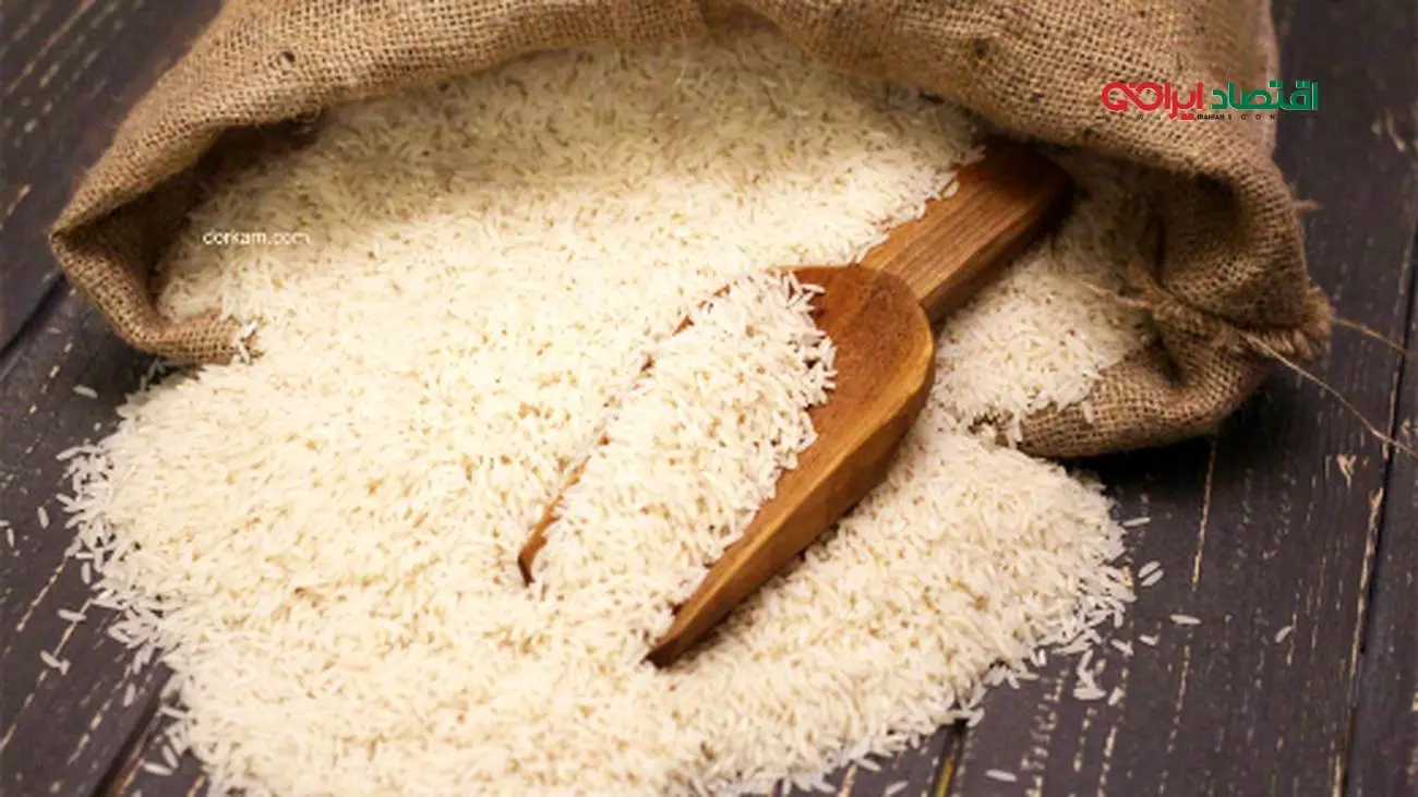 چرا قیمت برنج ایرانی سه برابر شد؟+ عامل گرانی و تحلیل