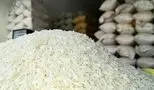 عوامل موثر در گرانی برنج شناسایی شدند