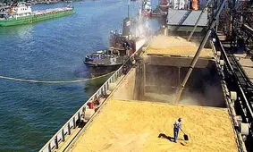 هشدار نسبت به بحران در زنجیره تولید مواد غذایی/ تعلل بانک مرکزی، دامداران را به مرز بحران رسانده است