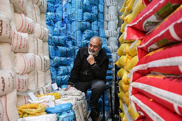 بازار برنج تهران زیر ذره‌بین؛ اثر تورم، واردات و تغییر الگوی مصرف 