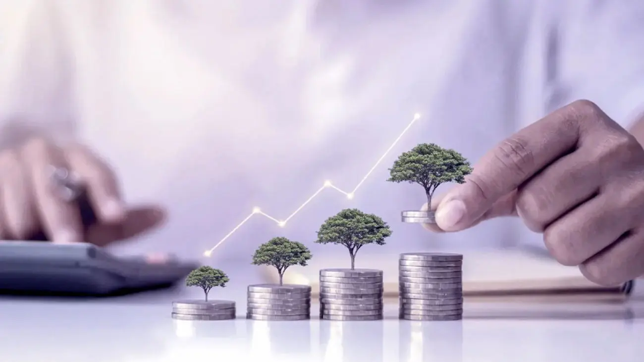 دنیای پر رمز و راز سرمایه گذاری ریسک پذیر