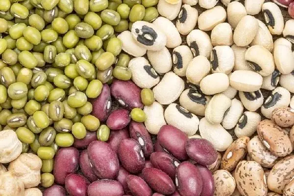 صادرات حبوبات؛ درد کوتاه‌مدت یا دردسر بلندمدت؟