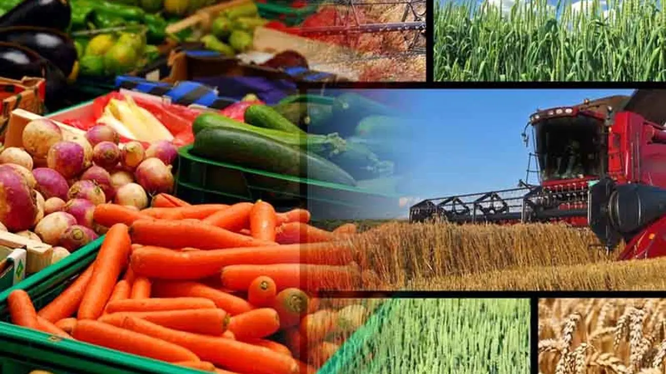 ۴ محصول زراعی زیر پوشش بیمه اجباری رفت!