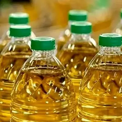 سوت گرانی کشیده شد؛ طوفان قیمت روغن در راه است!