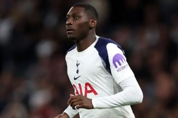 رونمایی بزرگ تاتنهام از خرید جدید خود در لیگ برتر!