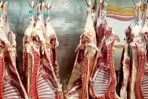 آیا توزیع گوشت قرمز دولتی ادامه خواهد یافت؟