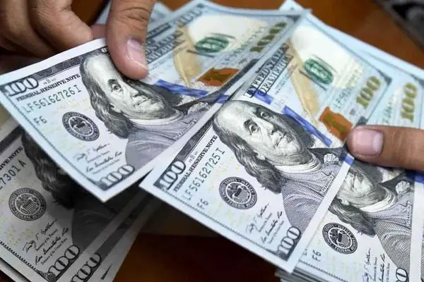 قیمت دلار امروز ۳۰ تیر ۱۴۰۳ / قیمت ارزهای مهم با ثبات دلار همراه شد 