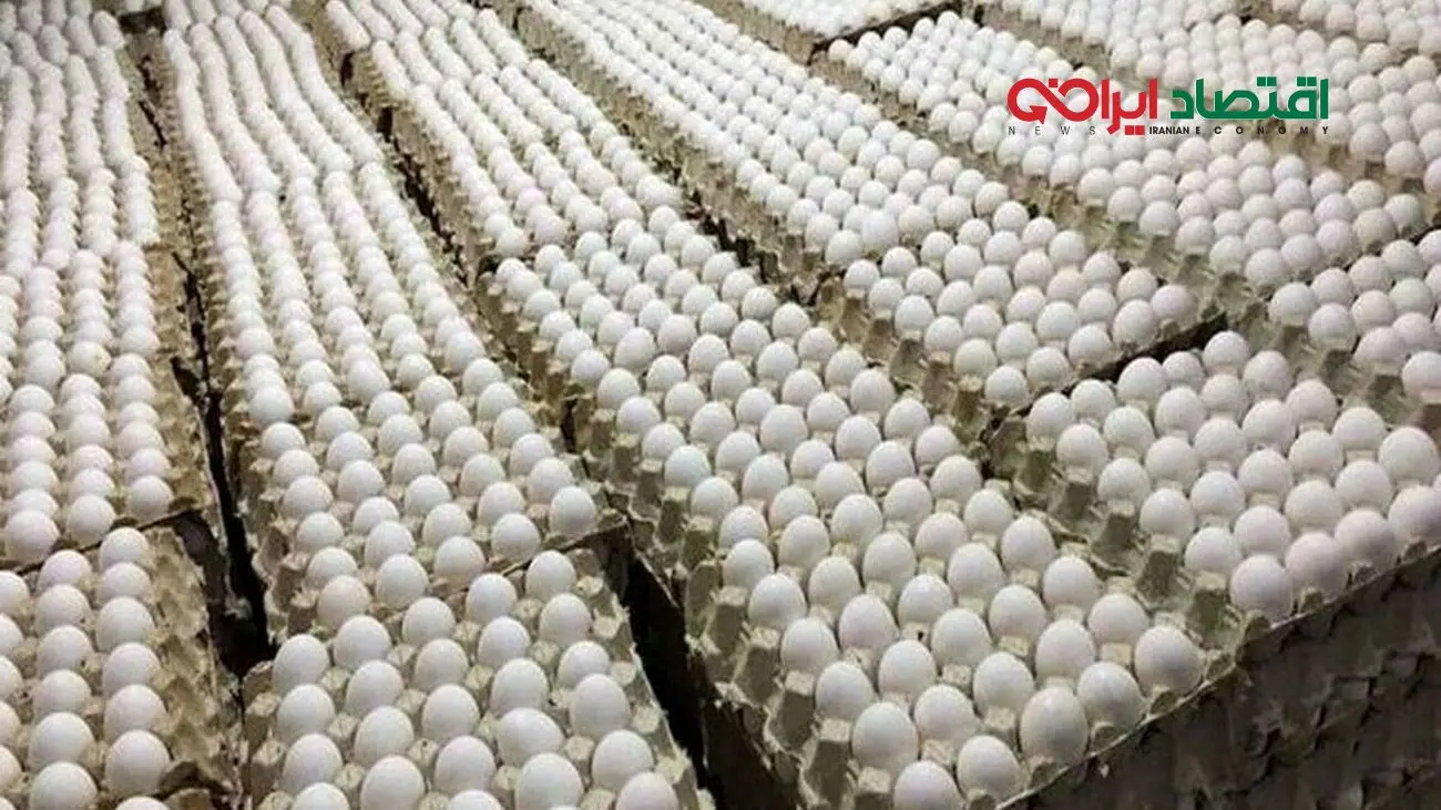 صعود عجیب قیمت تخم‌مرغ؛ شانه‌ای چند باید بخریم؟