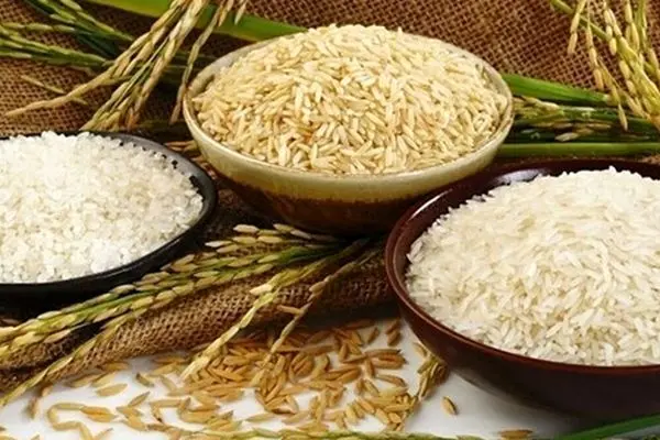قیمت روز انواع برنج وارداتی مهر ۱۴۰۴ / برنج درجه یک خارجی با چه قیمتی عرضه می‌شود؟