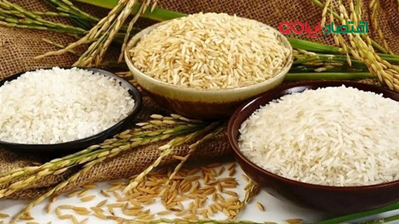 قیمت روز انواع برنج وارداتی مهر ۱۴۰۴ / برنج درجه یک خارجی با چه قیمتی عرضه میشود؟