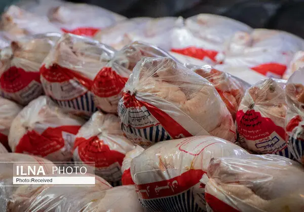 مجوز واردات گوشت مرغ گرم به بازار ایران صادر شد