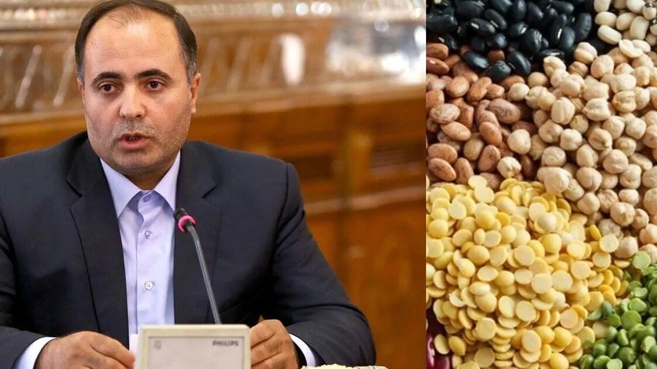 وزیر کشاورزی؛ افزایش قیمتها منطقی و توجیهپذیر است! +فیلم