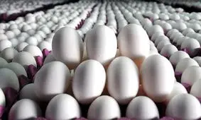 قیمت تخم مرغ در بازار چند؟