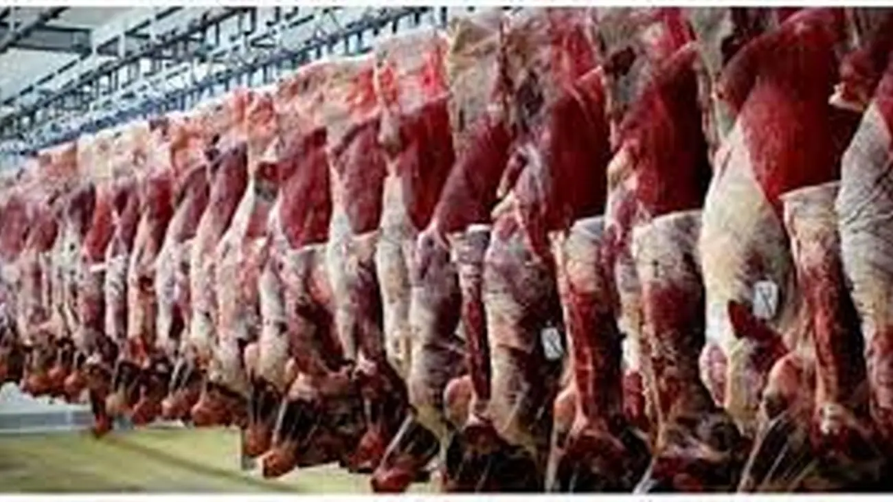 قیمت گوشت به ۳۱۰ هزار تومان رسید
