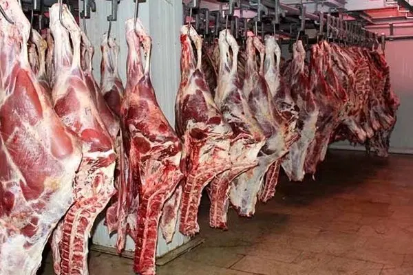 اطلاعیه تازه/ قیمت گوشت وارداتی مشخص شد!