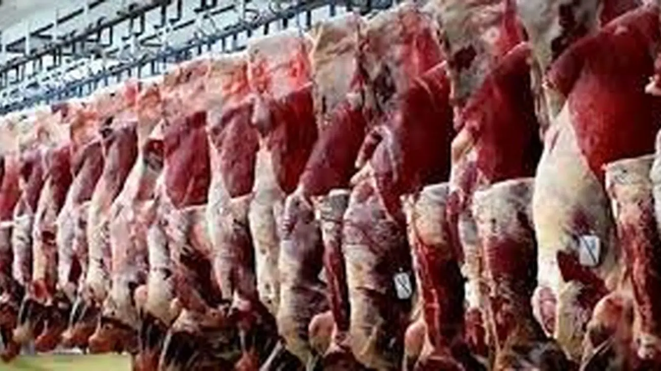 قیمت گوشت قرمز اشک همه را درآورد