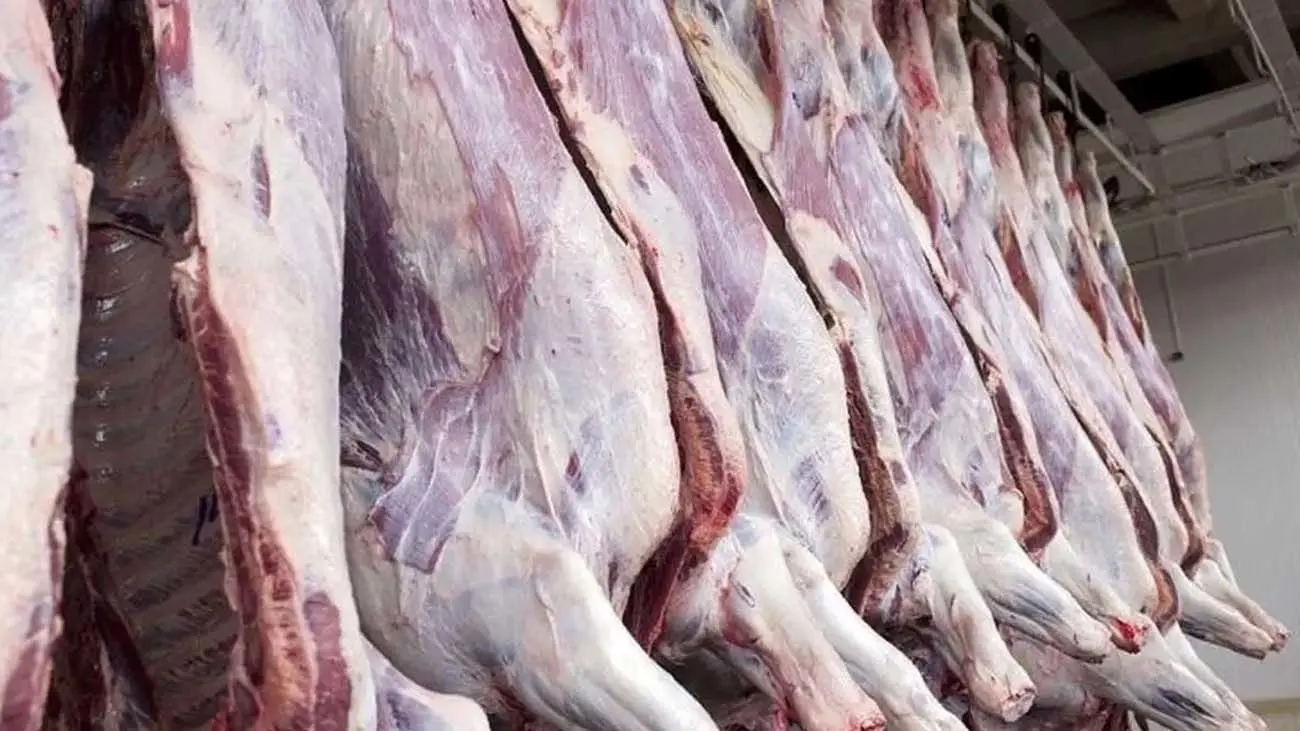 قیمت گوشت قرمز امروز ۸ مهر ۱۴۰۳ +جدول