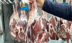 ران گوساله در ۳ ماه دو برابر شد؛ کسی حواسش هست؟