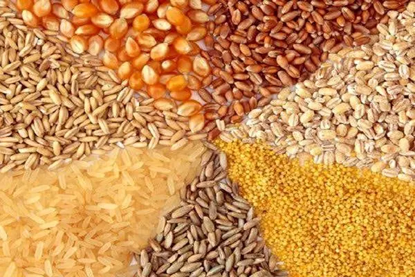 تولید خوراک دام به ۱۱ میلیون تن رسید